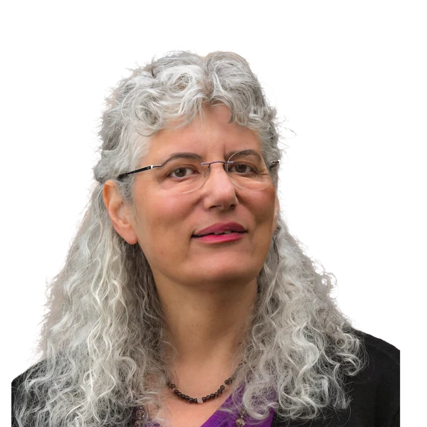 Robin Shapiro
